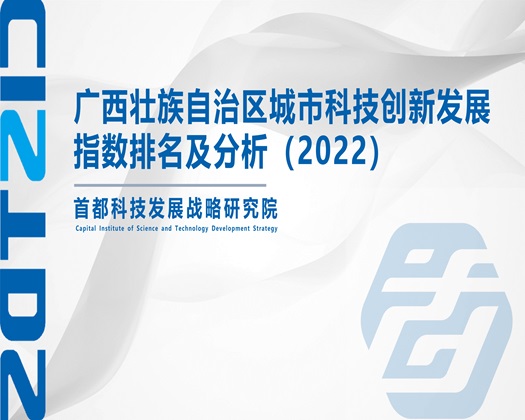 黄色一级日逼视频【成果发布】广西壮族自治区城市科技创新发展指数排名及分析（2022）